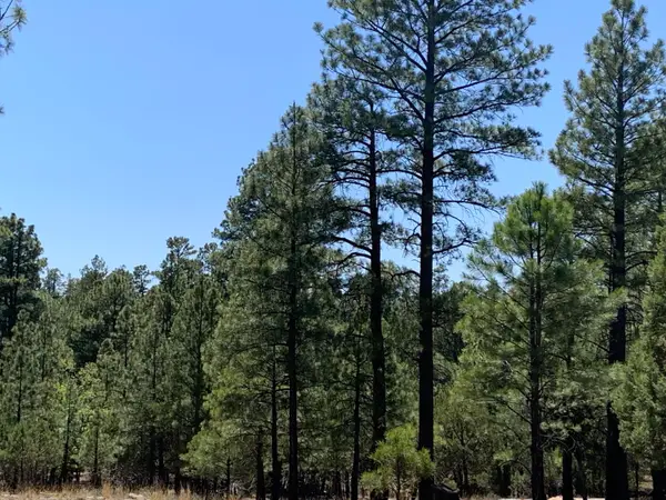 8761 8657 Mogollon Trail, Happy Jack, AZ 86024