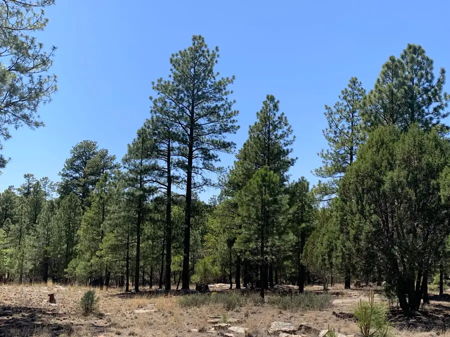 8761 8657 Mogollon Trail, Happy Jack, AZ 86024 - #2