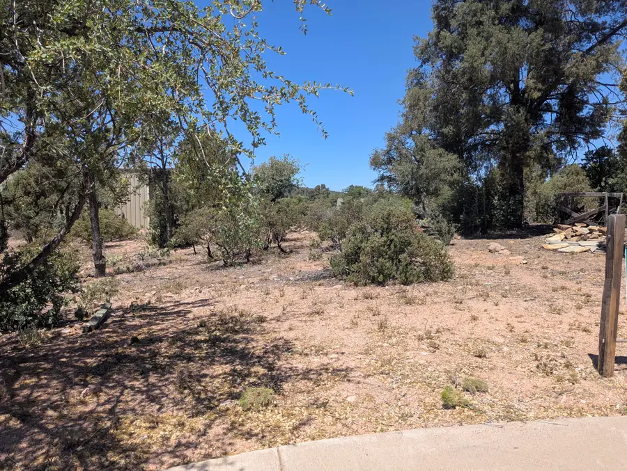 822 W Pinto Circle, Payson, AZ 85541 - #3