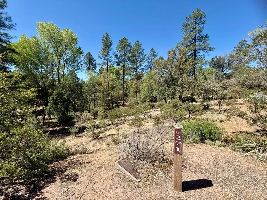 2900 E Lions Pocket, Payson, AZ 85541 - #2