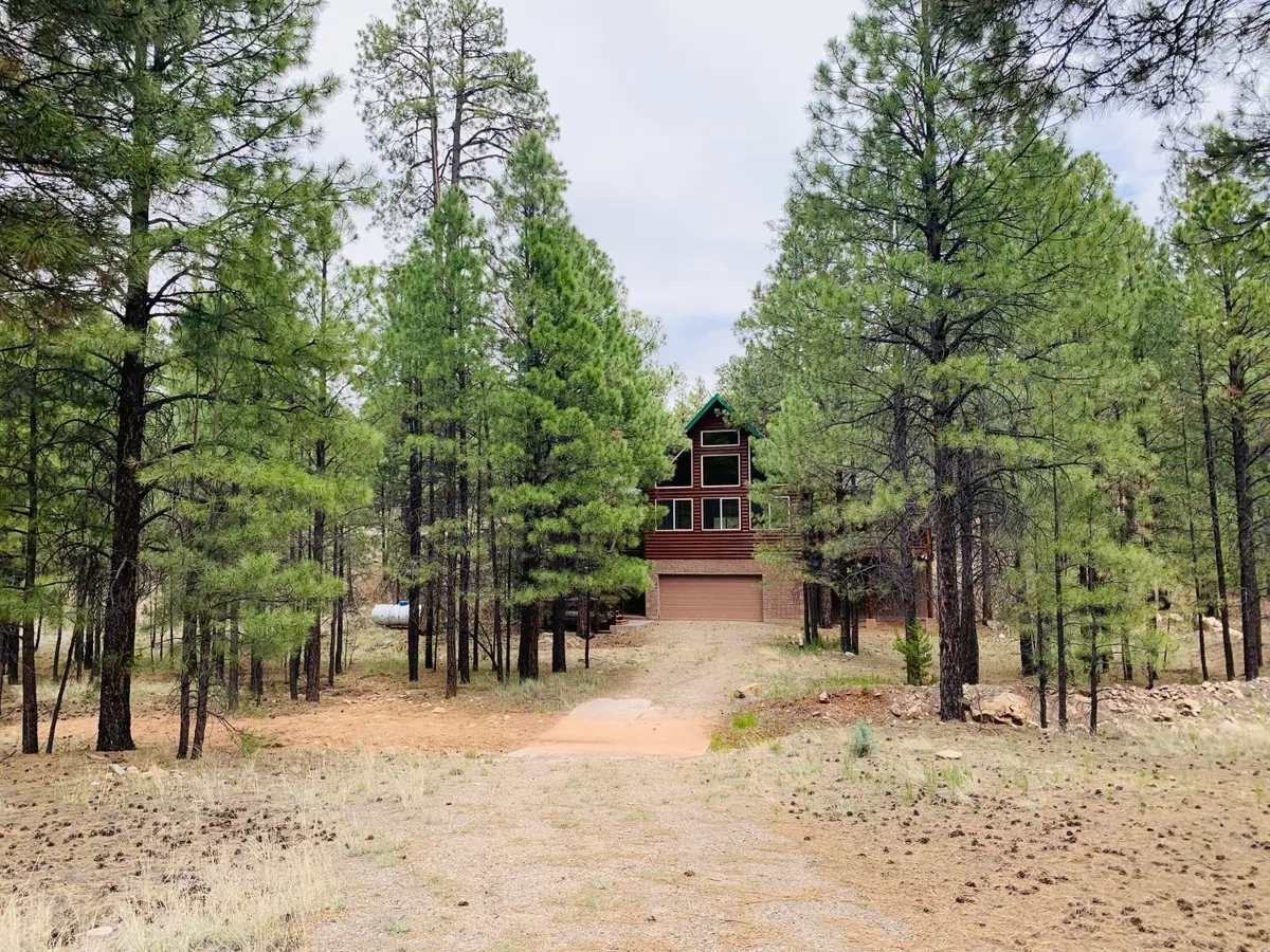 2833 Red Hawk Circle, Happy Jack, AZ 86024 - #1