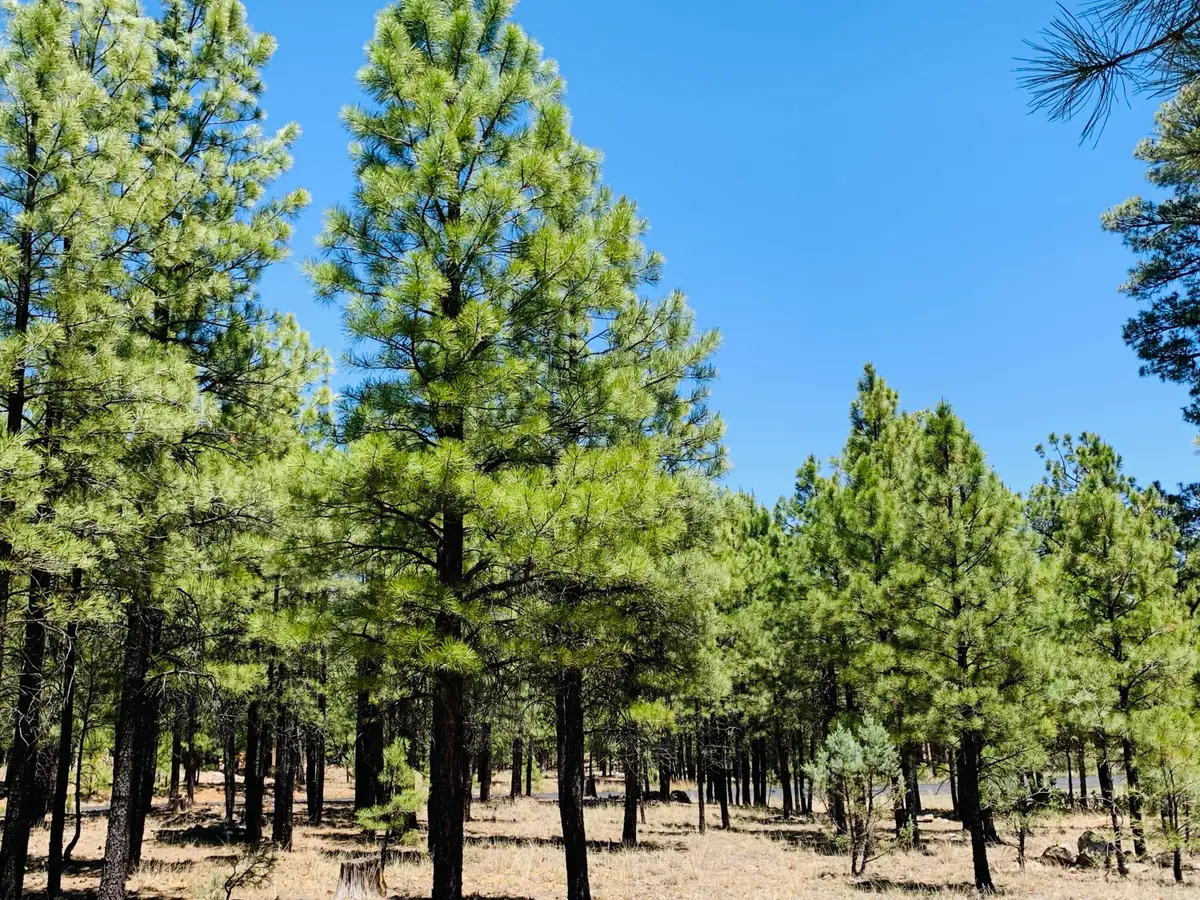 2185 Pine Canyon Drive, Happy Jack, AZ 86024 - #1