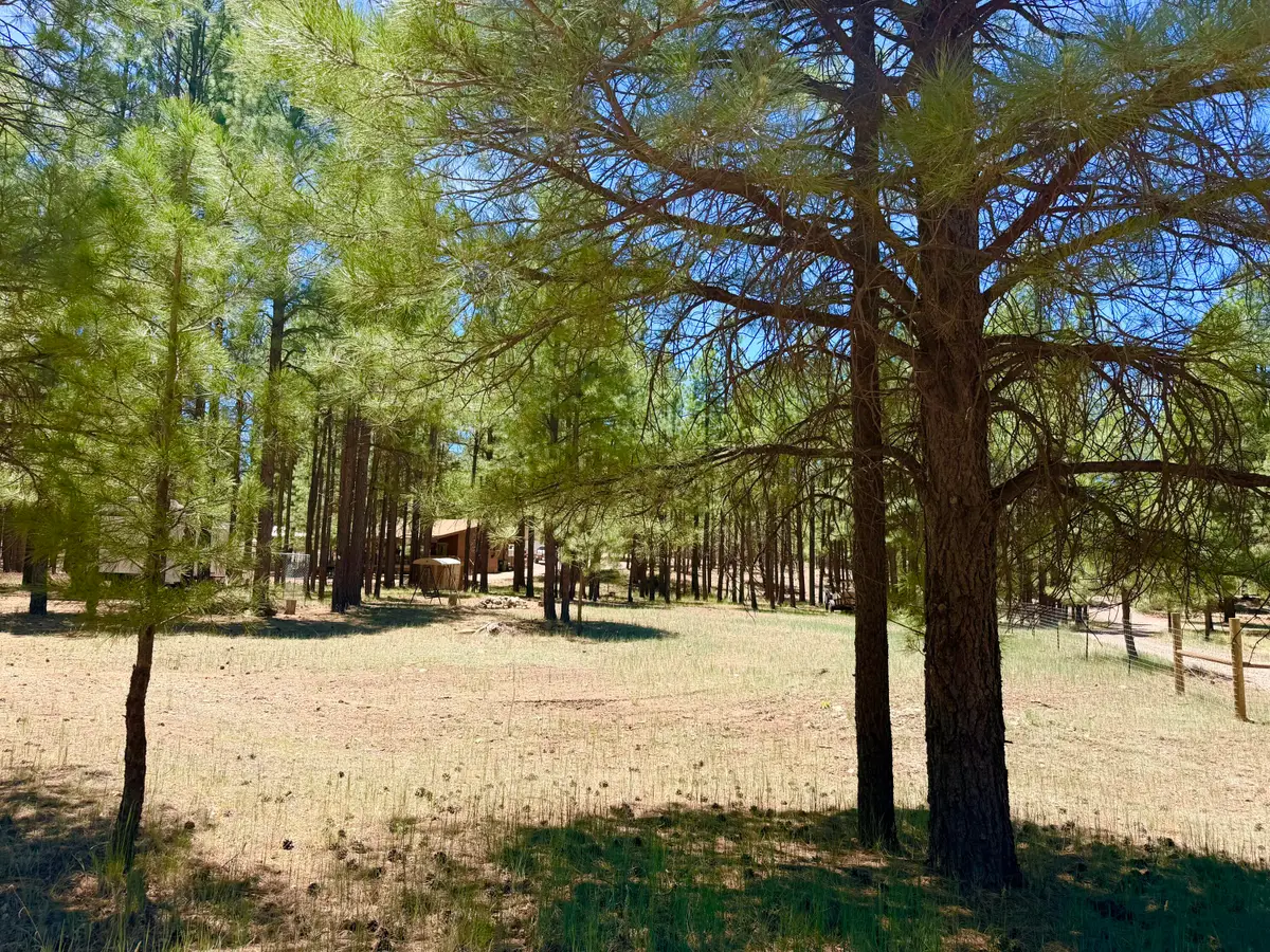 2378 Blue Ridge Drive, Happy Jack, AZ 86024 - #1