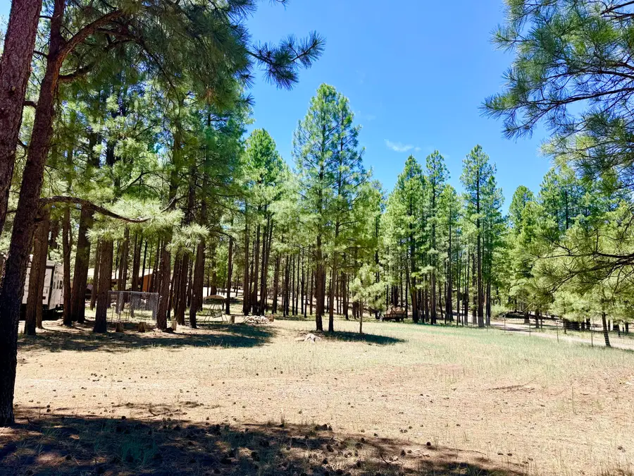 2378 Blue Ridge Drive, Happy Jack, AZ 86024 - #2