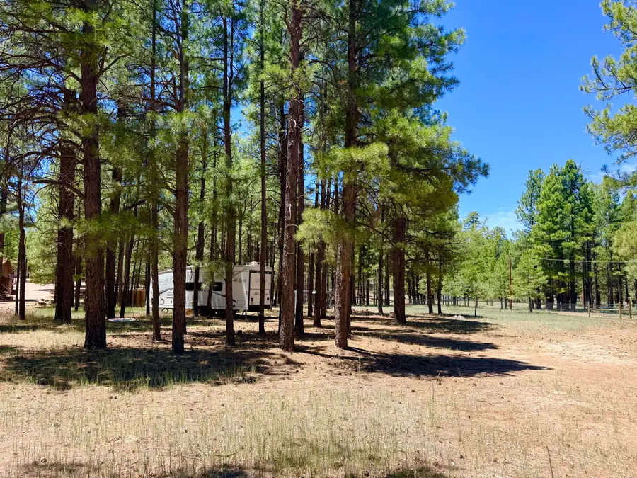 2378 Blue Ridge Drive, Happy Jack, AZ 86024 - #3