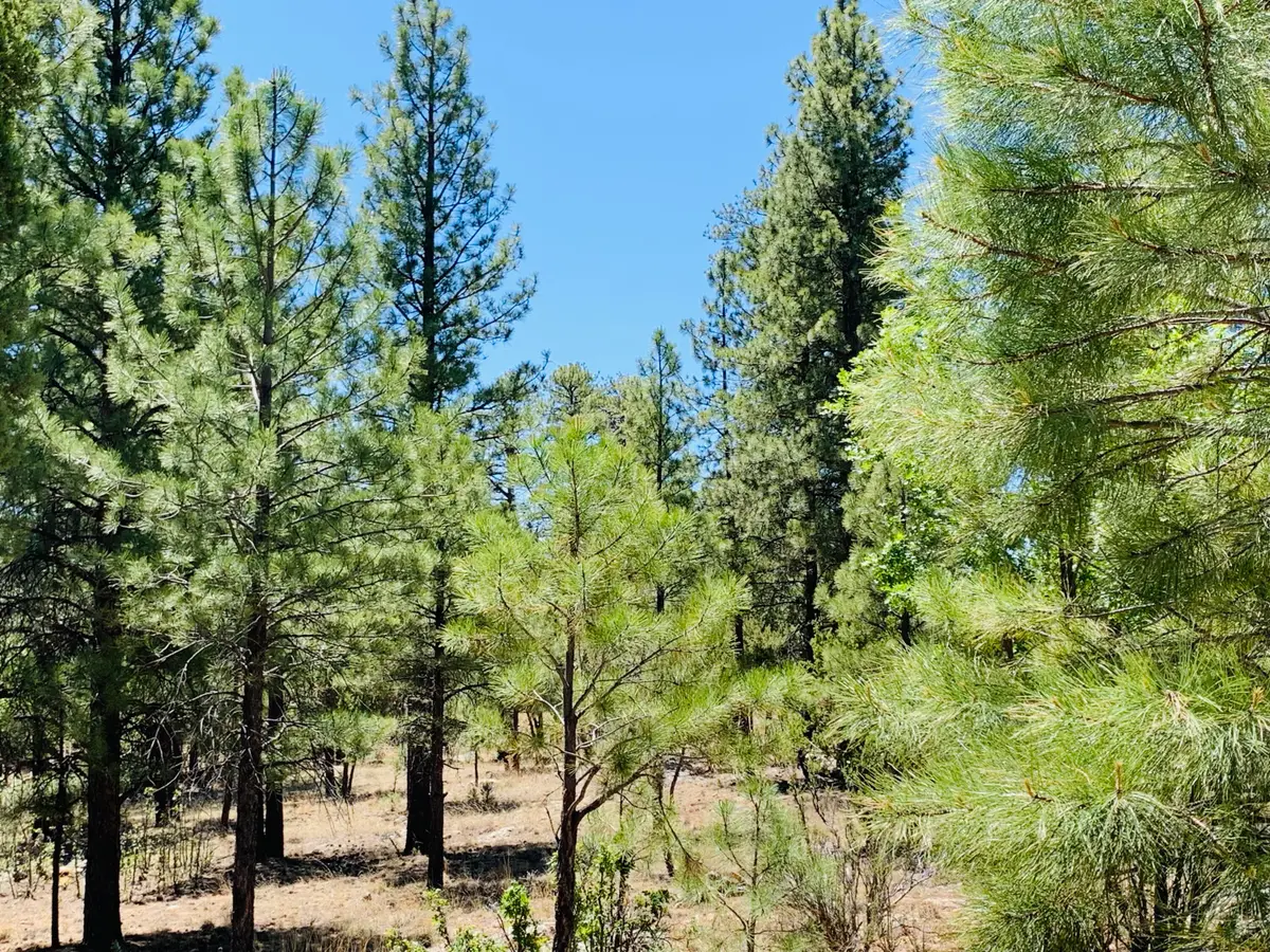 5117 Starlight Drive, Happy Jack, AZ 86024 - #1
