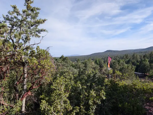 000 Woodshire Drive, Pine, AZ 85544