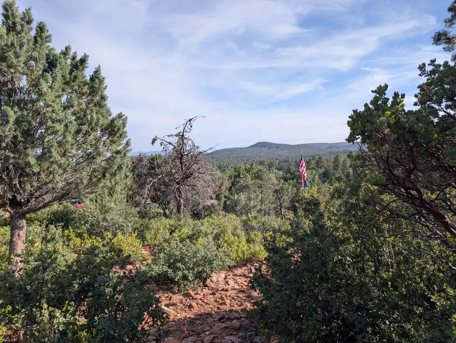 000 Woodshire Drive, Pine, AZ 85544 - #2