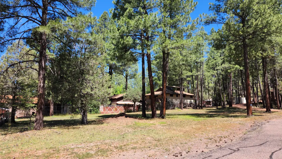 181 Cedar Circle, Payson, AZ 85541 - #1