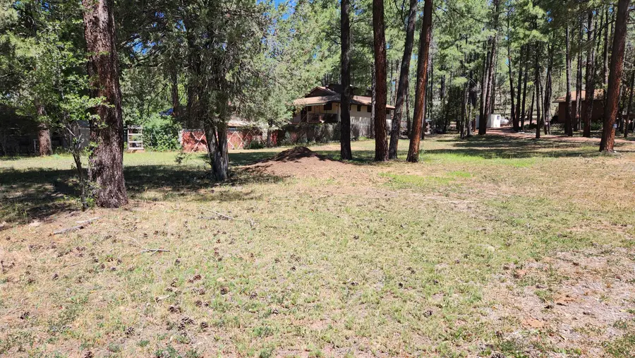 181 Cedar Circle, Payson, AZ 85541 - #2