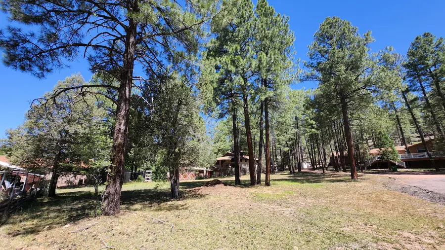 181 Cedar Circle, Payson, AZ 85541 - #3