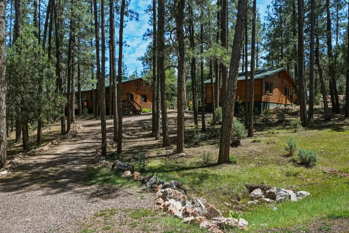 125 W Homestead Lane, Payson, AZ 85541 - #1