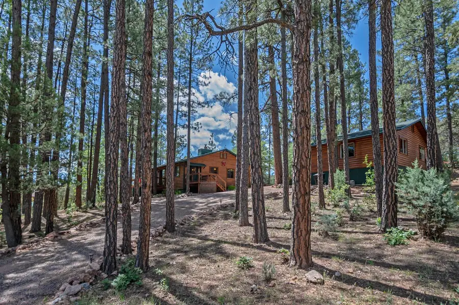 125 W Homestead Lane, Payson, AZ 85541 - #2