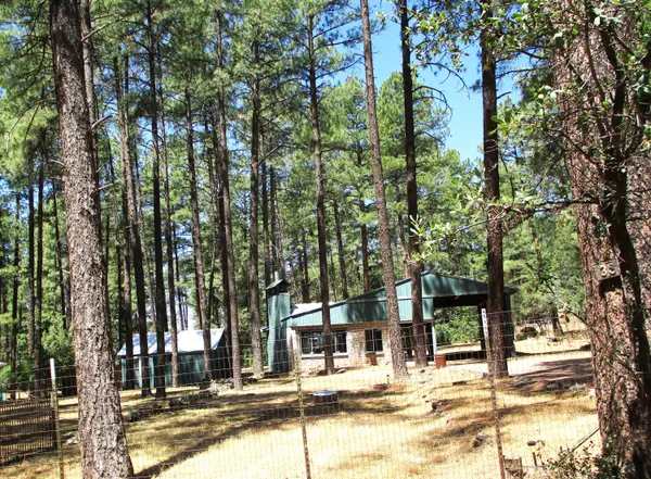 5106 N Oak Drive, Strawberry, AZ 85544