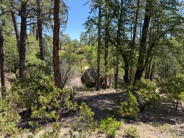 3004 E Game Trail, Payson, AZ 85541 - #1