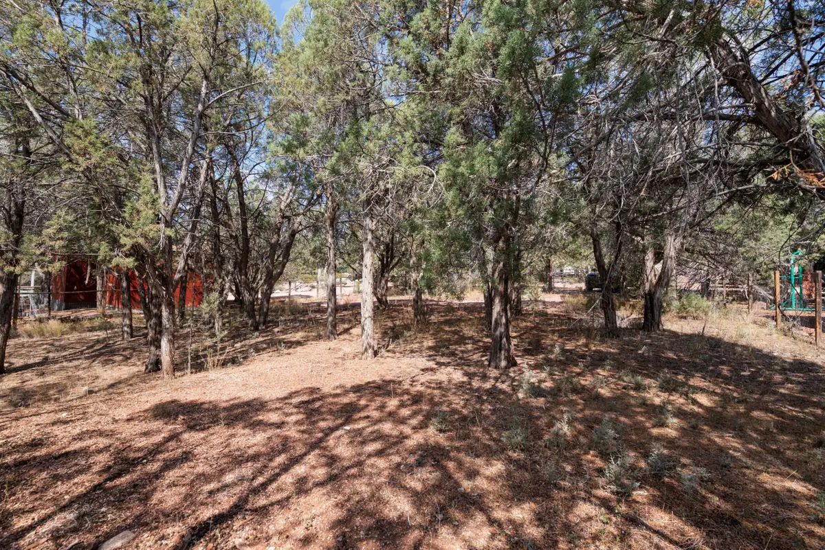 000 Palomino Drive, Payson, AZ 85541 - #1