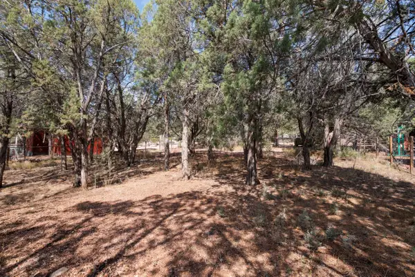 000 Palomino Drive, Payson, AZ 85541