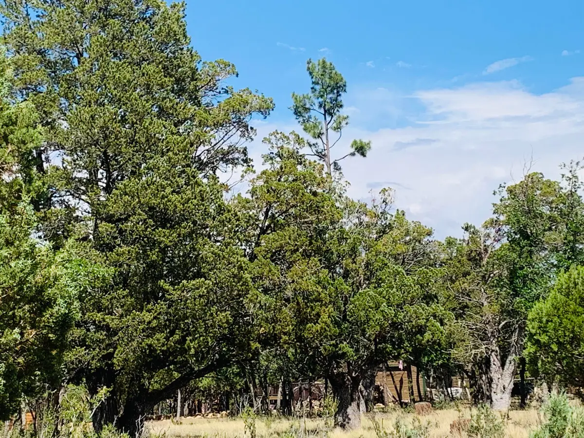 2277 Pine Crest Drive, Happy Jack, AZ 86024 - #1