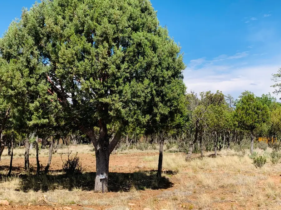 2277 Pine Crest Drive, Happy Jack, AZ 86024 - #2