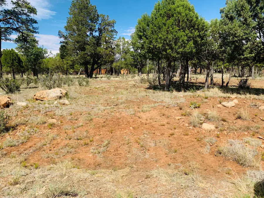 2277 Pine Crest Drive, Happy Jack, AZ 86024 - #3