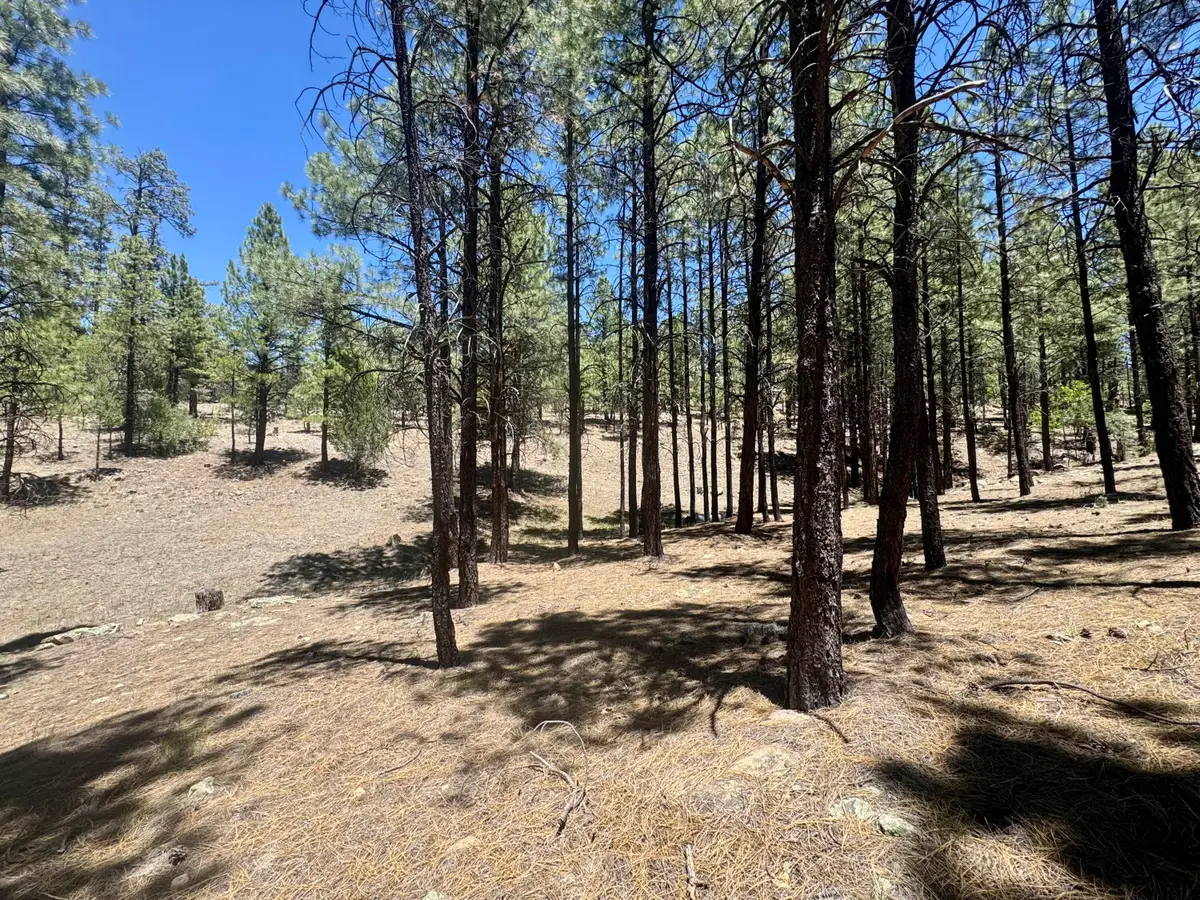 3230 Hopi Drive, Happy Jack, AZ 86024 - #1