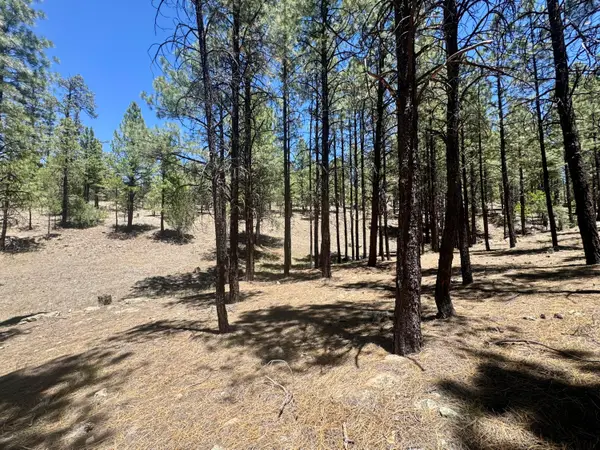 3230 Hopi Drive, Happy Jack, AZ 86024