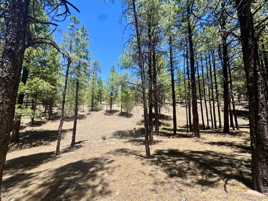 3230 Hopi Drive, Happy Jack, AZ 86024 - #2