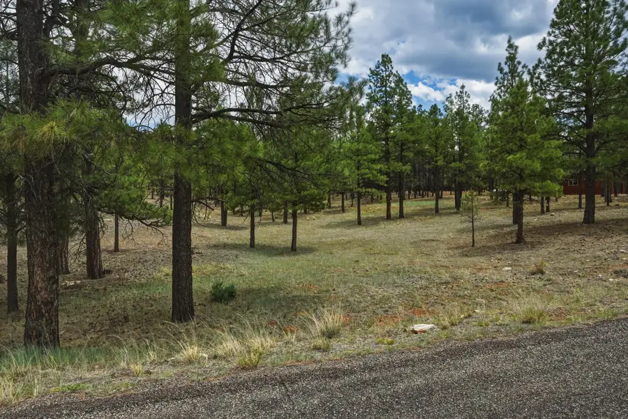 2799 Cherokee Way, Happy Jack, AZ 86024 - #2