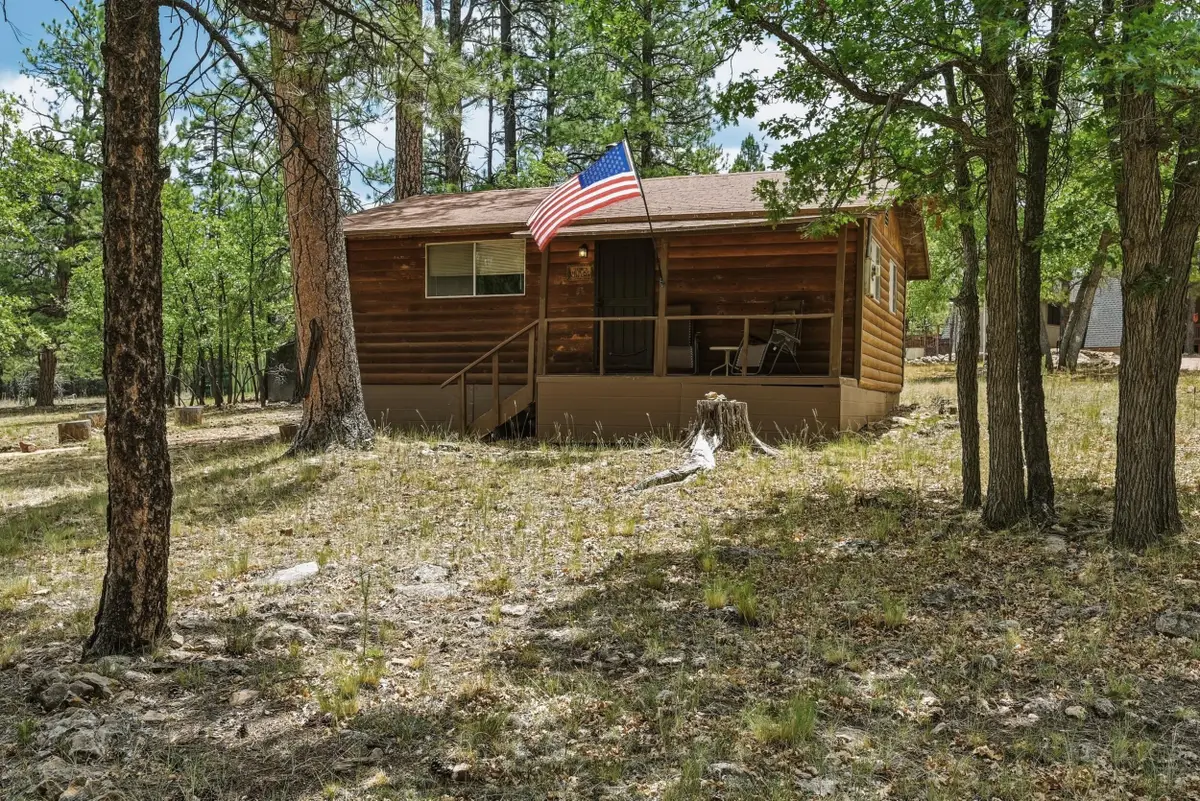 2100 Antelope Way, Happy Jack, AZ 86024 - #1
