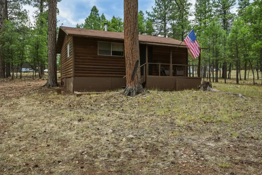 2100 Antelope Way, Happy Jack, AZ 86024 - #3