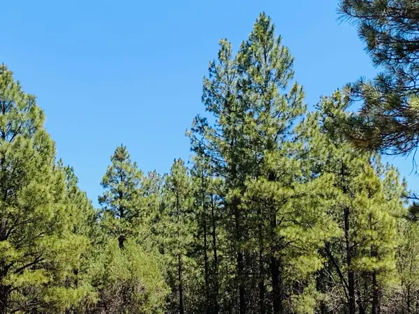 2319 Swan Lane, Happy Jack, AZ 86024