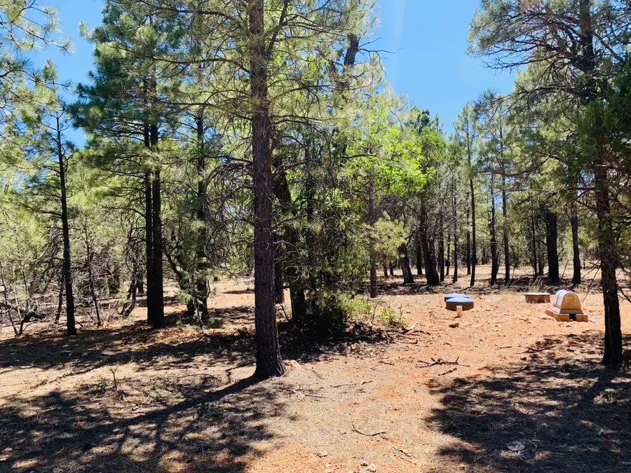 2319 Swan Lane, Happy Jack, AZ 86024 - #2