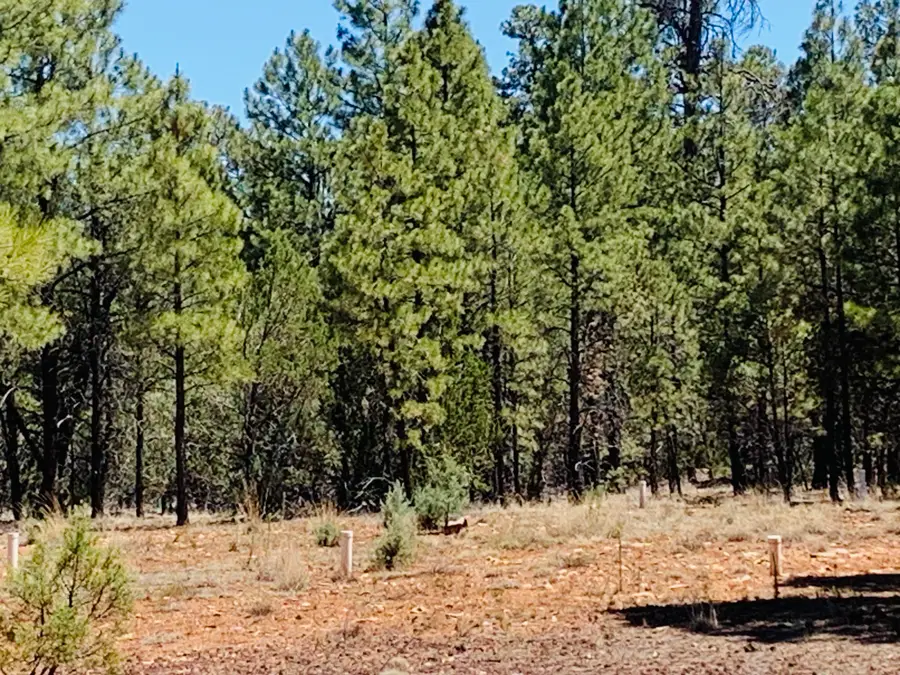 2319 Swan Lane, Happy Jack, AZ 86024 - #3