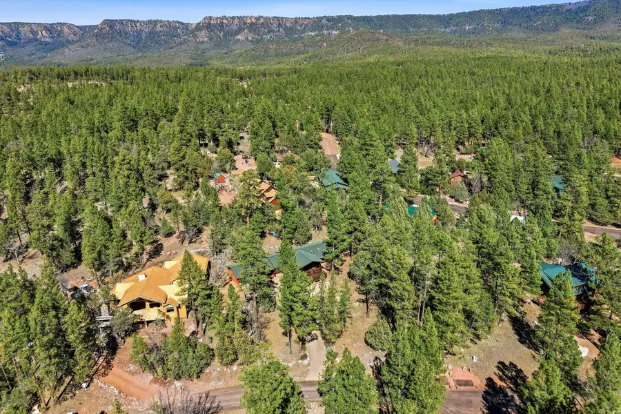 212 W Homestead Lane, Payson, AZ 85541 - #3