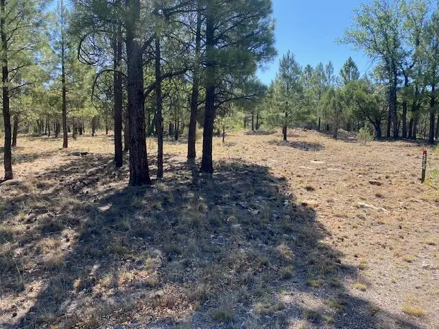 4214 Juniper Drive, Happy Jack, AZ 86024 - #1