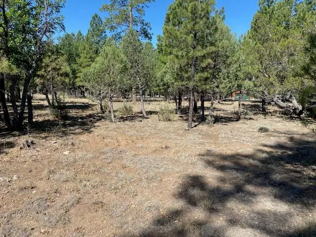 4214 Juniper Drive, Happy Jack, AZ 86024 - #2