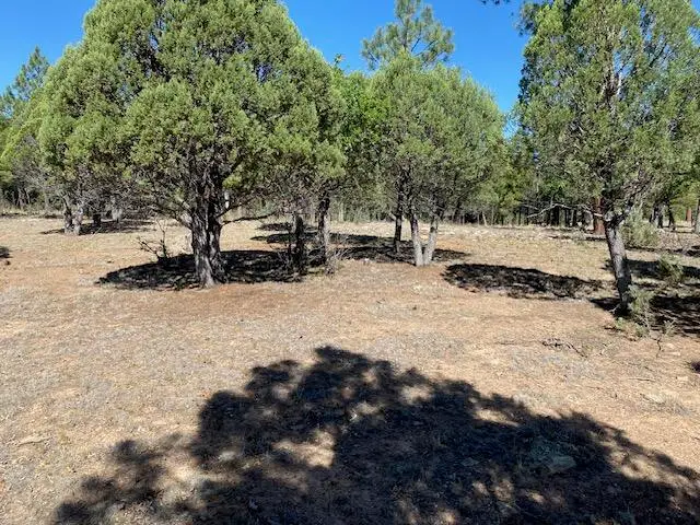 4214 Juniper Drive, Happy Jack, AZ 86024 - #3