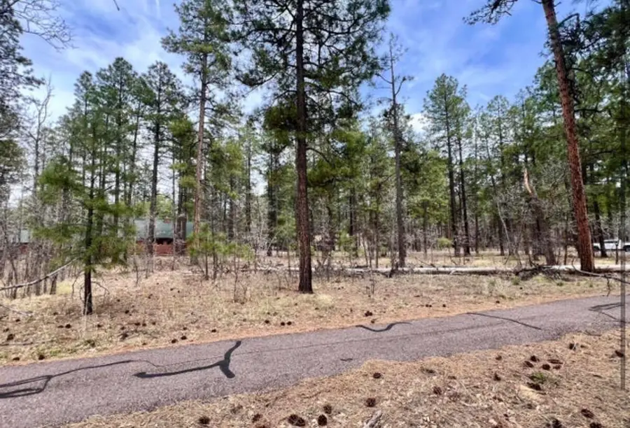 4024 Latigo Way, Pinetop, AZ 85935 - #2