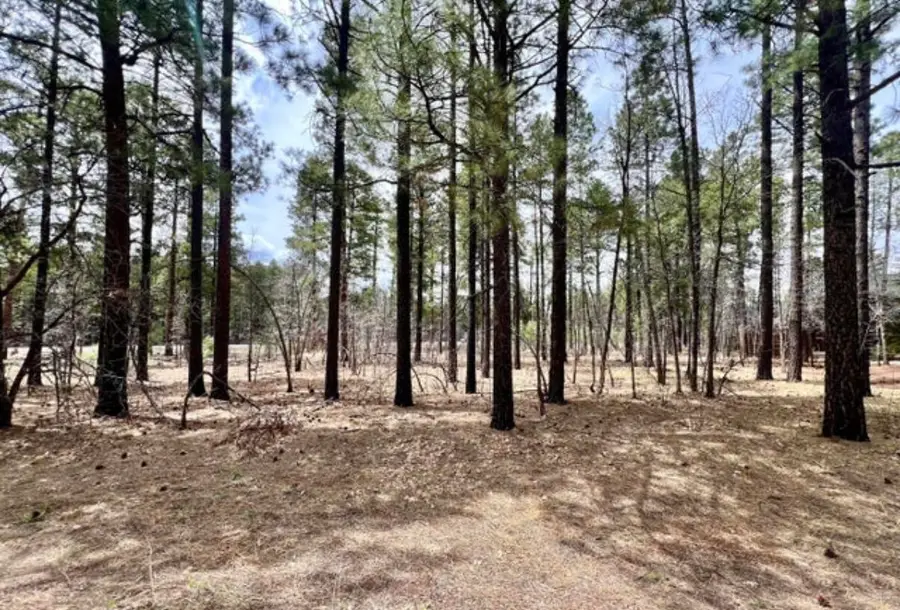 4024 Latigo Way, Pinetop, AZ 85935 - #3