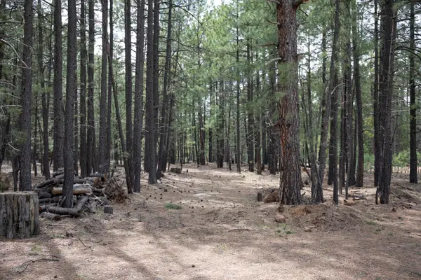 1924 Quilt Country Drive, Forest Lakes, AZ 85931