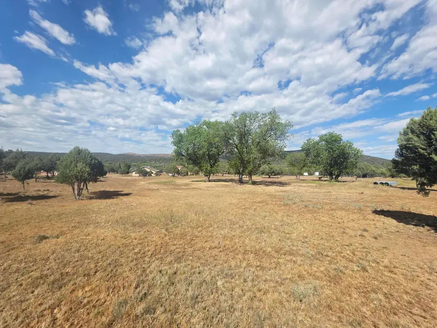 000 W Stageline Road, Payson, AZ 85541 - #2