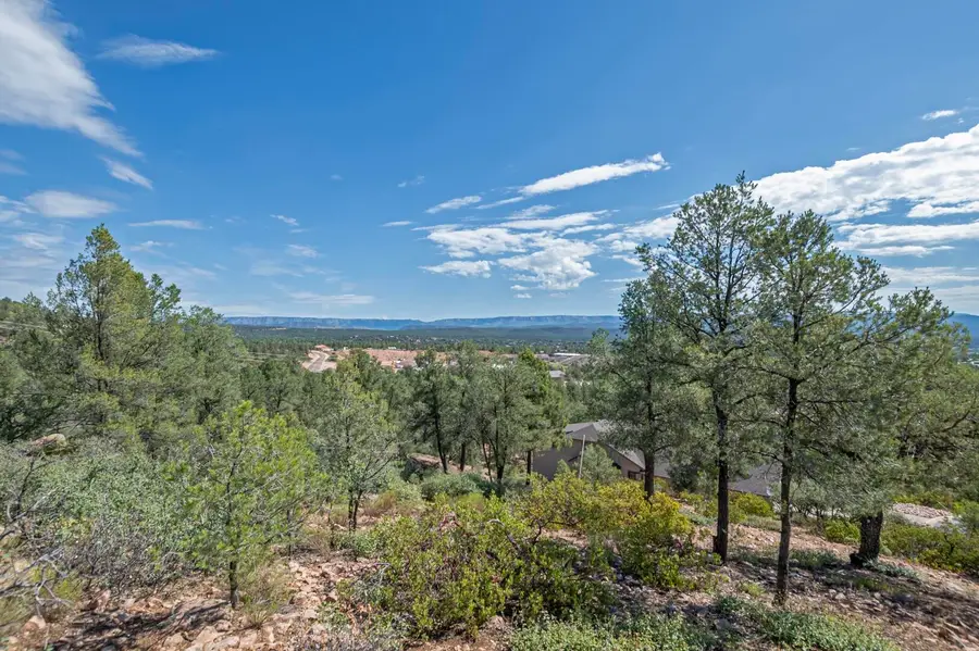 1906 E Starlight Pass, Payson, AZ 85541 - #2