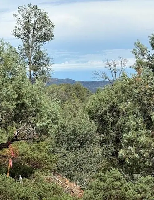1209 Heather Circle, Payson, AZ 85541
