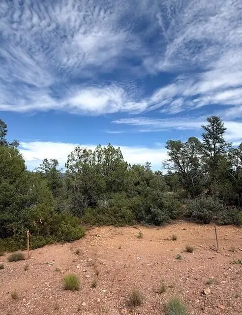 1209 Heather Circle, Payson, AZ 85541 - #3