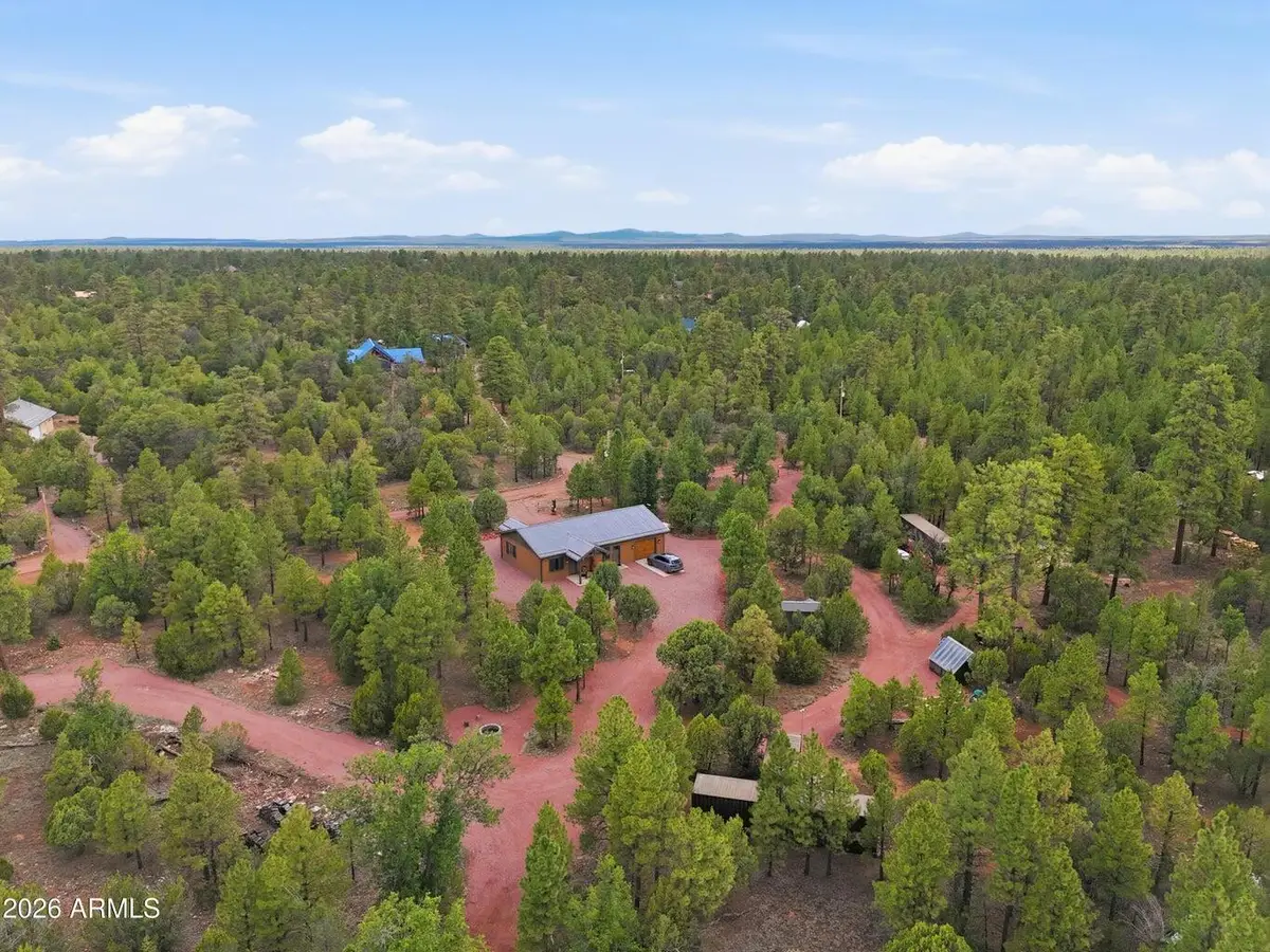 6163 Mallard Pond Drive, Happy Jack, AZ 86024 - #1