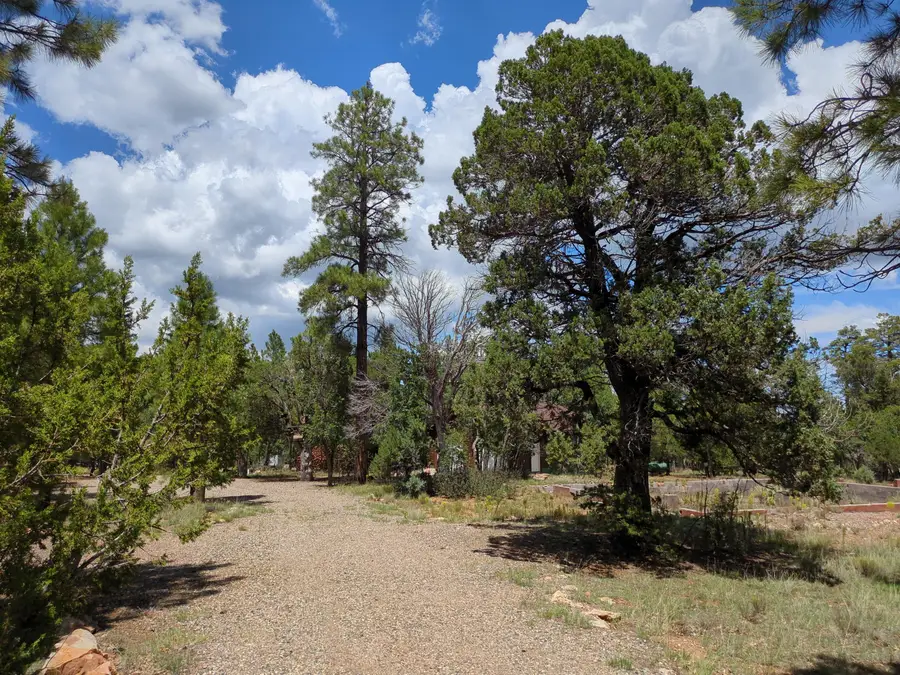 5969 Redtail Lane, Happy Jack, AZ 86024 - #3