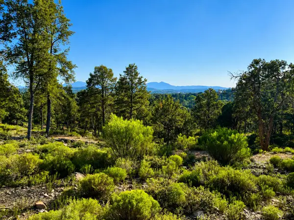 701 N Graham Ranch Road, Payson, AZ 85541
