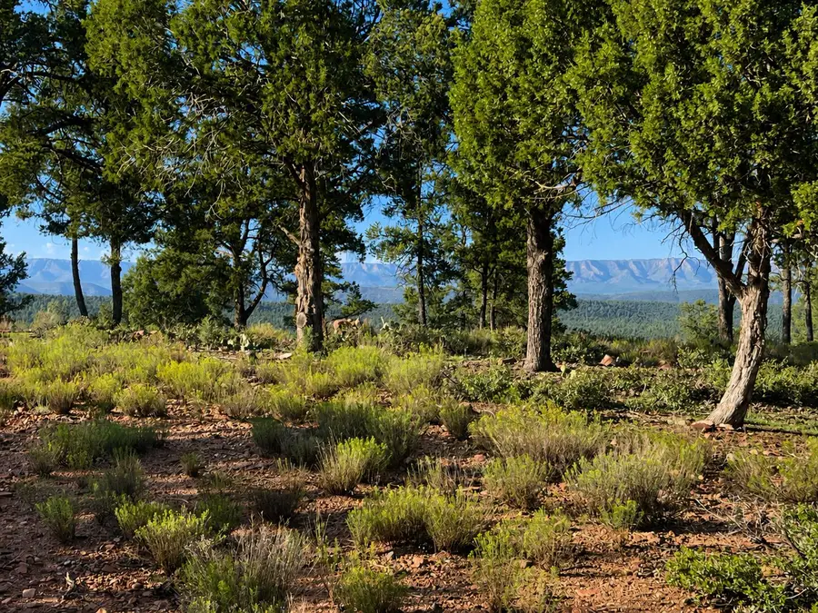 701 N Graham Ranch Road, Payson, AZ 85541 - #2