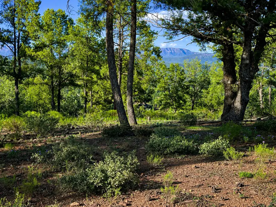 701 N Graham Ranch Road, Payson, AZ 85541 - #3
