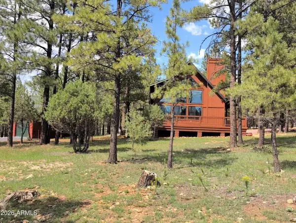 3738 Apache Drive, Happy Jack, AZ 86024